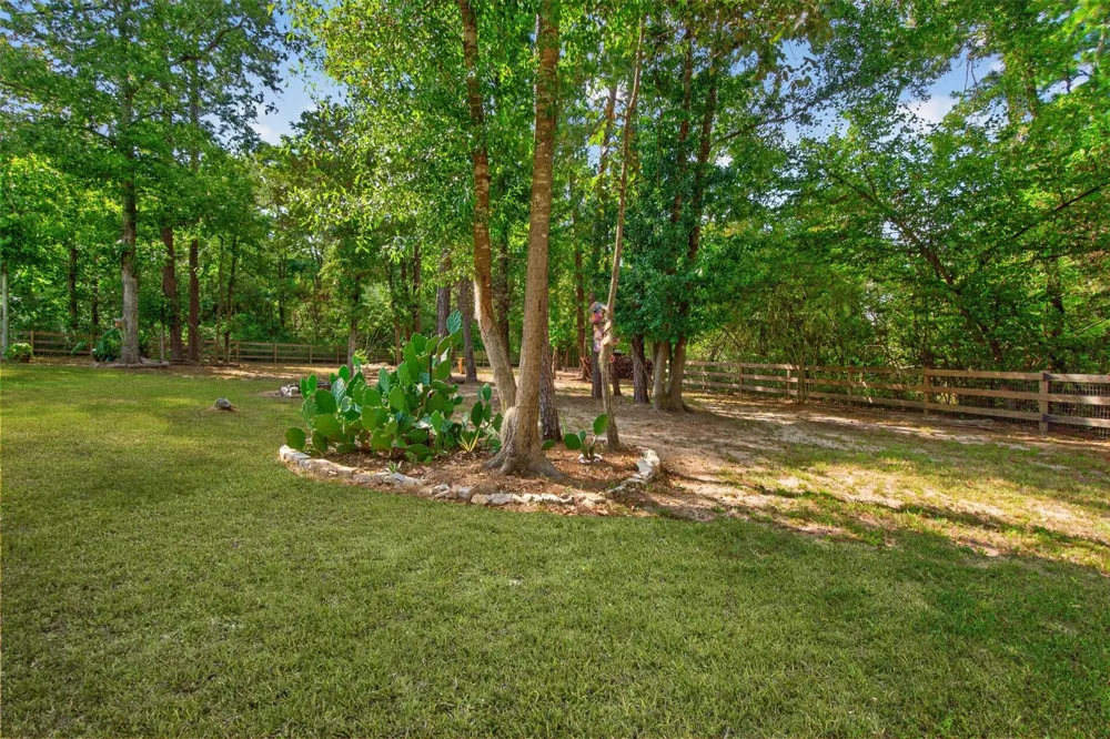 15741 Forest Grove Drive Willis, TX 77378