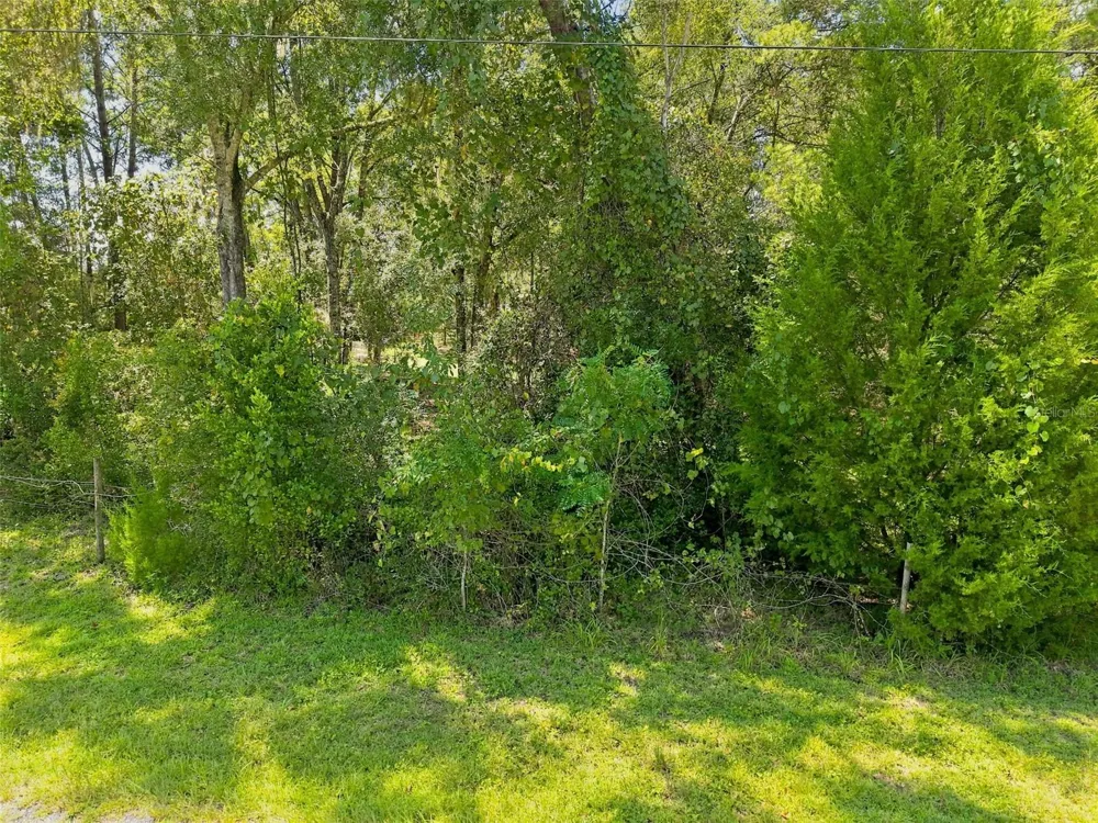 25905 SITTING BULL STREET Brooksville, FL 34601