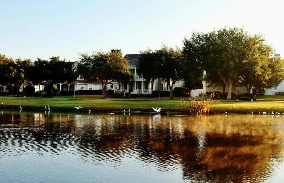 934 WESTPARK DRIVE Celebration, FL 34747