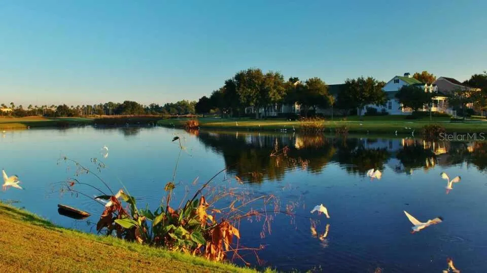 934 WESTPARK DRIVE Celebration, FL 34747