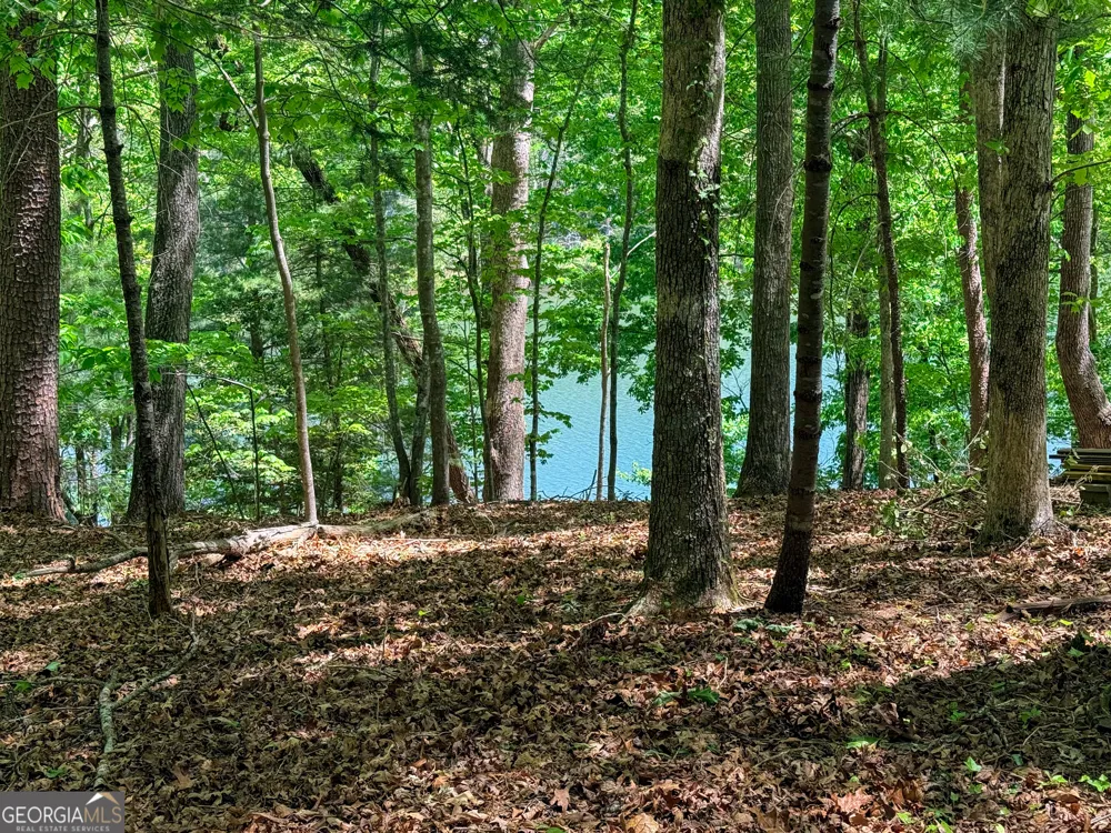 51 Mountain Park BLVD Cleveland, GA 30528