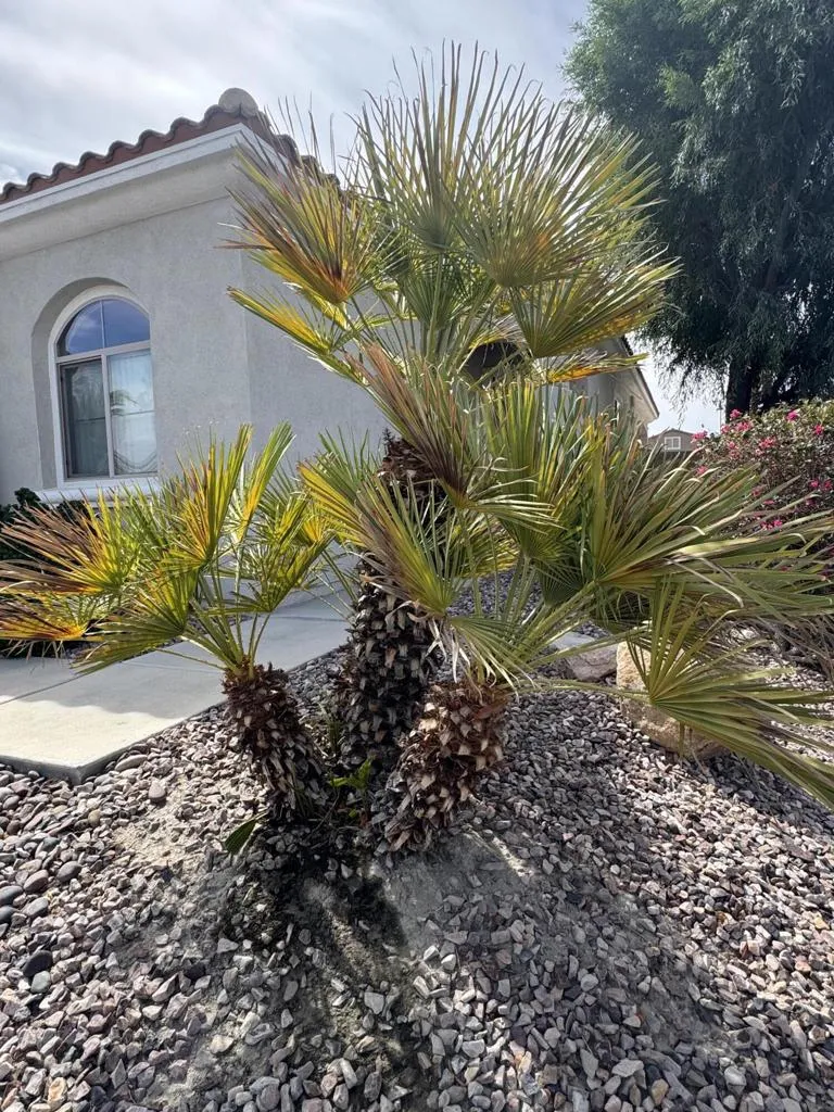 81893 Avenida Alcalde Indio, CA 92203