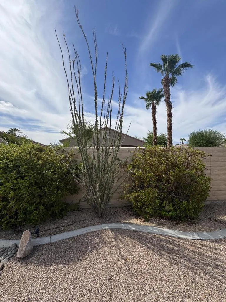 81893 Avenida Alcalde Indio, CA 92203