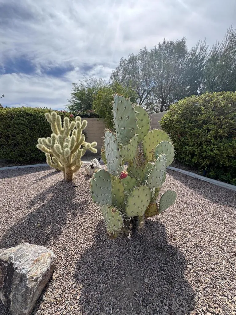 81893 Avenida Alcalde Indio, CA 92203