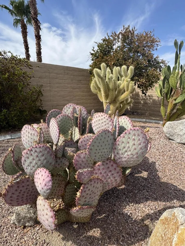 81893 Avenida Alcalde Indio, CA 92203