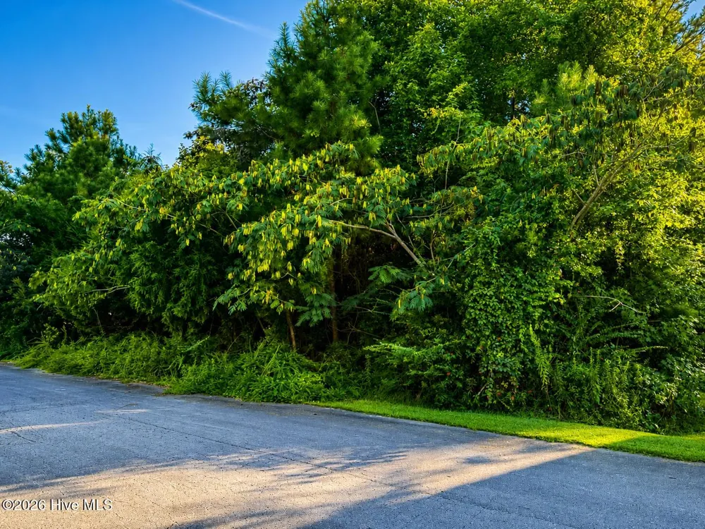 114 Cherrybark Drive Jacksonville, NC 28540