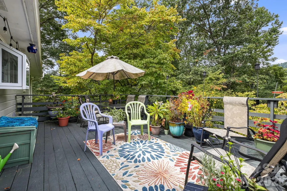 49 White Pine Drive Asheville, NC 28805