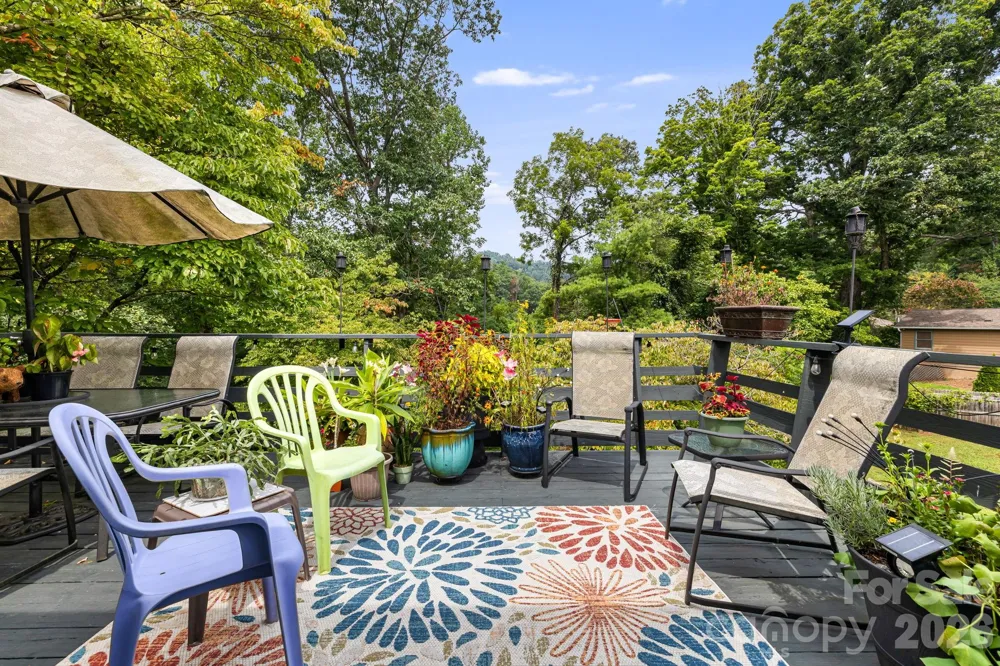 49 White Pine Drive Asheville, NC 28805