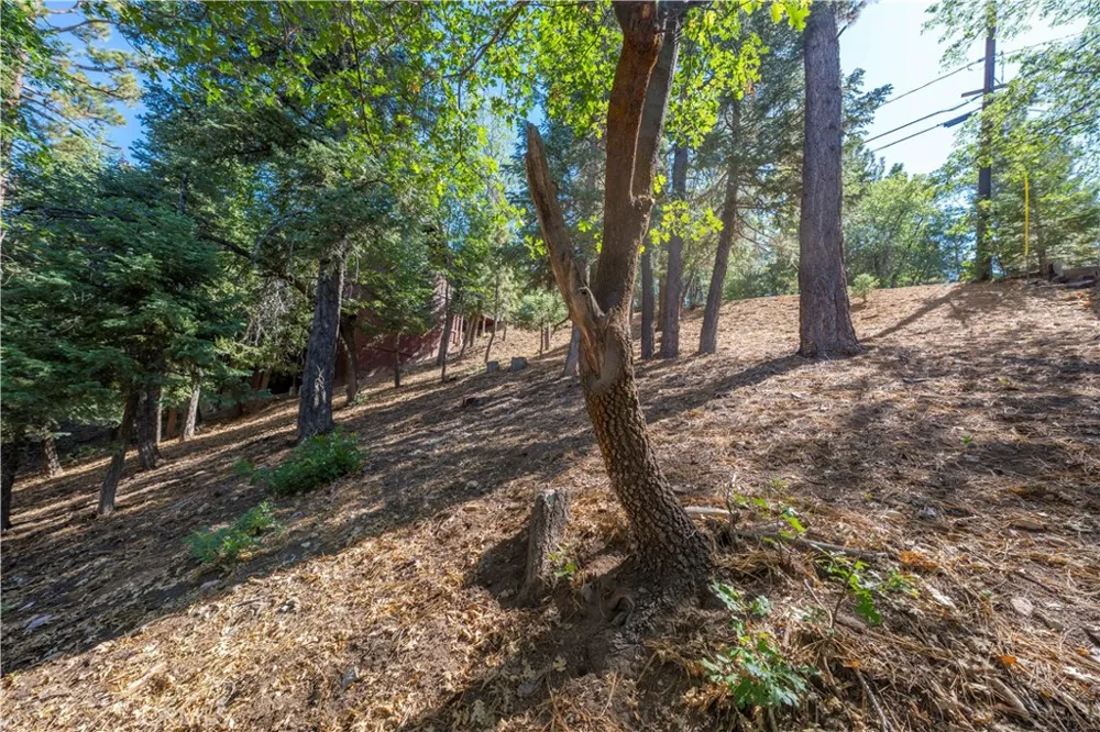 43326 Shasta Road Big Bear, CA 92315