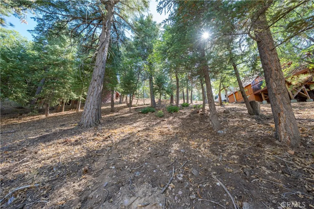 43326 Shasta Road Big Bear, CA 92315