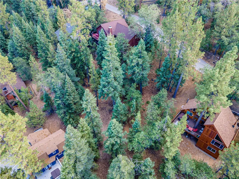 43326 Shasta Road Big Bear, CA 92315