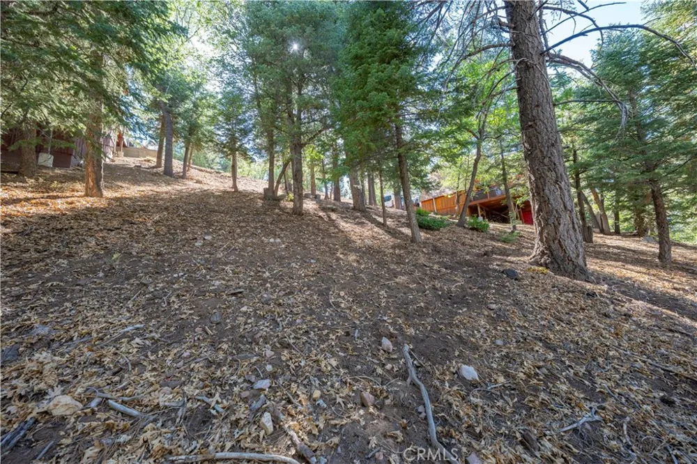 43326 Shasta Road Big Bear, CA 92315