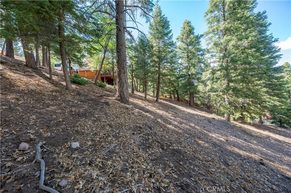 43326 Shasta Road Big Bear, CA 92315