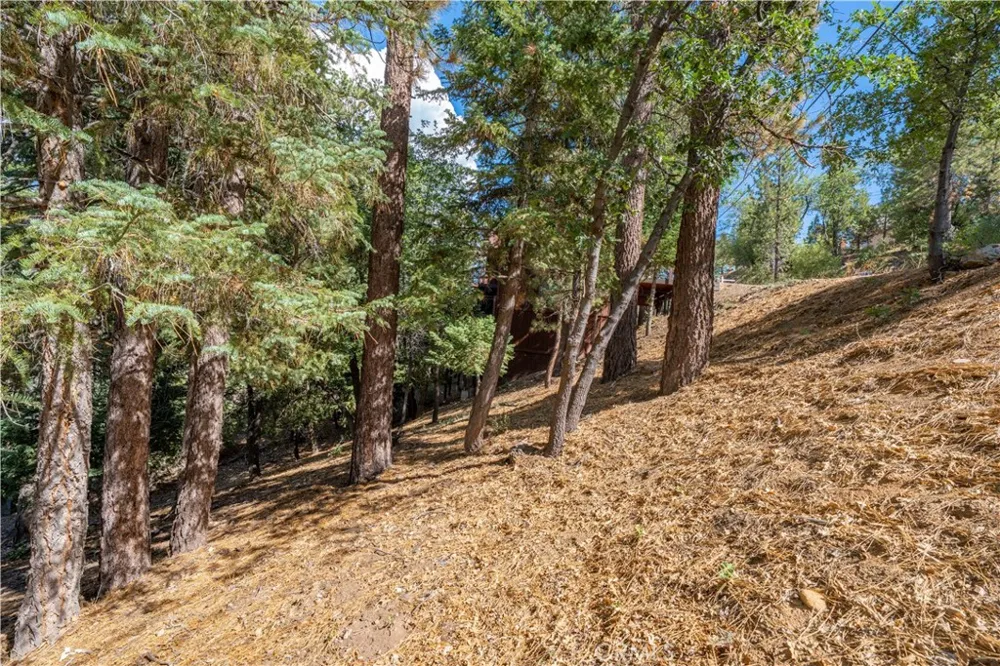 43326 Shasta Road Big Bear, CA 92315