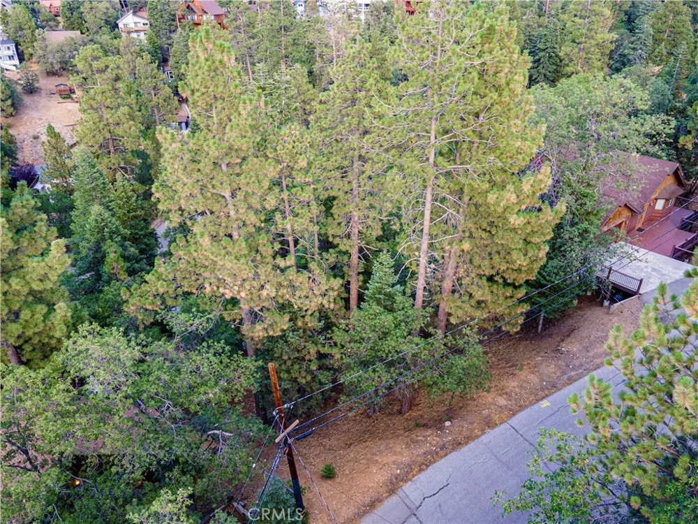 43326 Shasta Road Big Bear, CA 92315