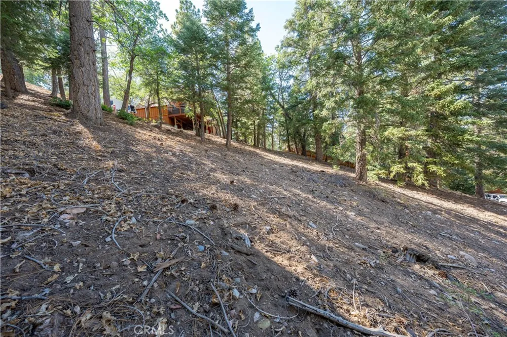 43326 Shasta Road Big Bear, CA 92315