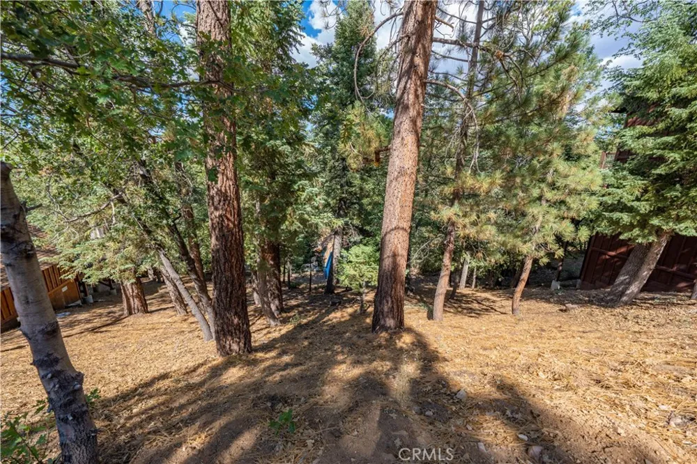 43326 Shasta Road Big Bear, CA 92315