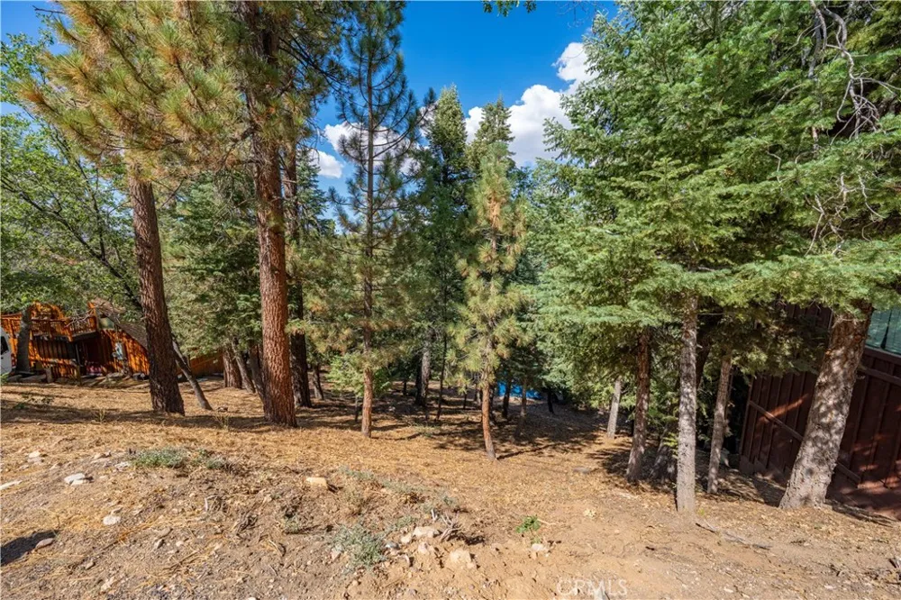 43326 Shasta Road Big Bear, CA 92315