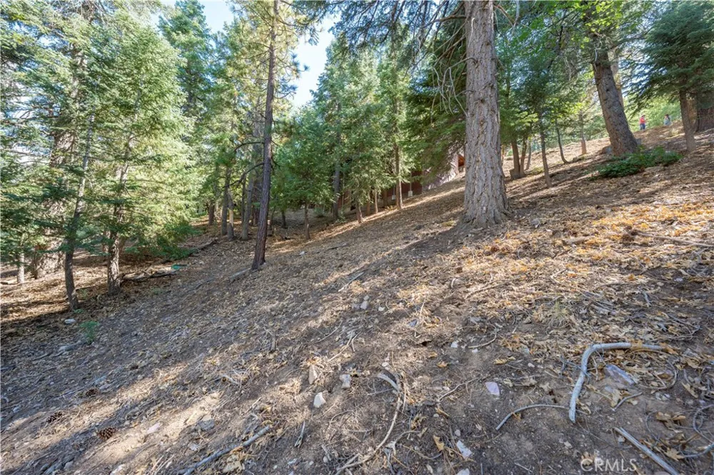 43326 Shasta Road Big Bear, CA 92315