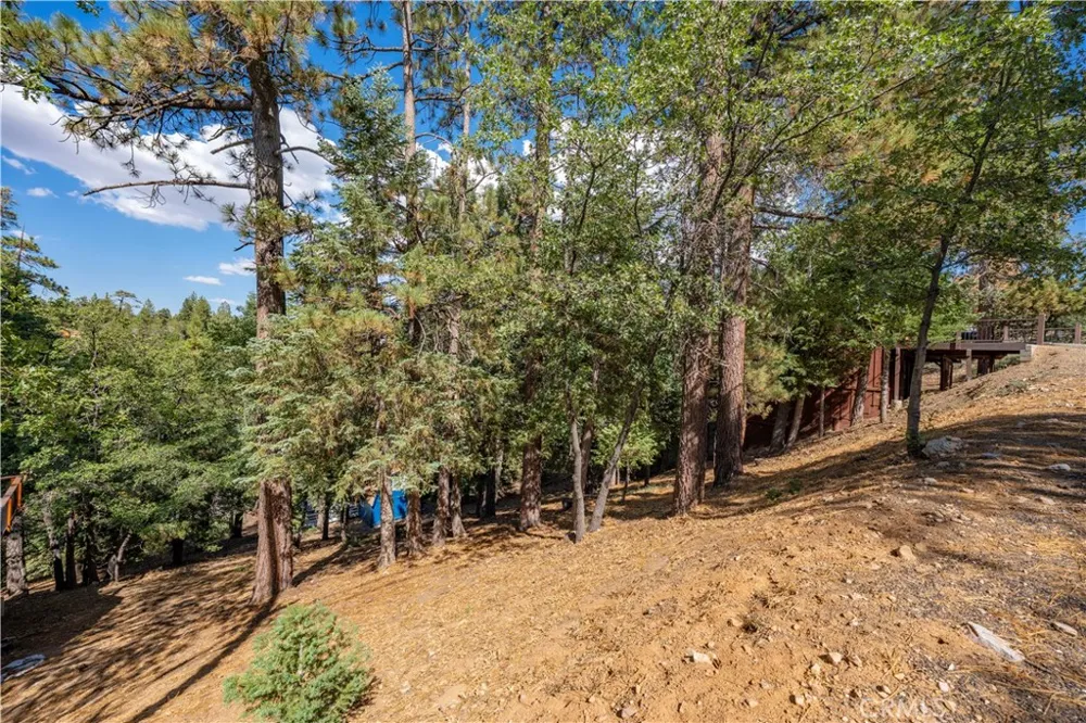 43326 Shasta Road Big Bear, CA 92315