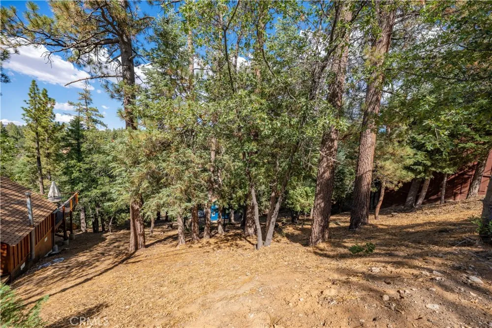 43326 Shasta Road Big Bear, CA 92315