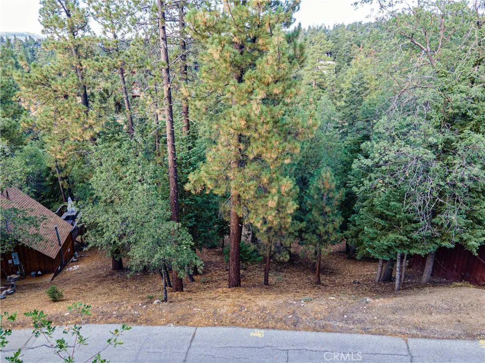 43326 Shasta Road Big Bear, CA 92315