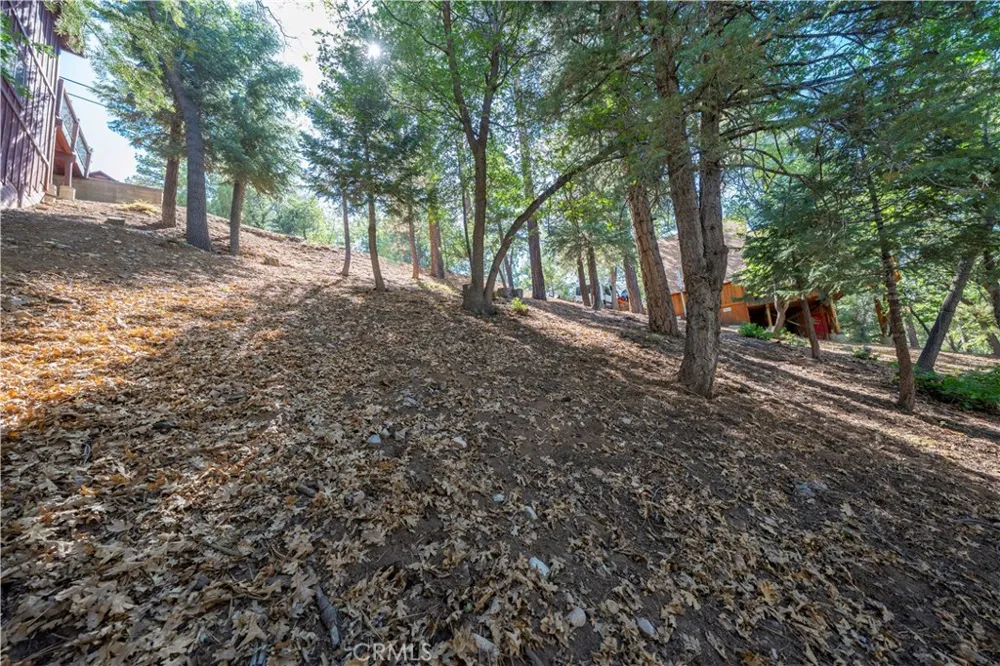 43326 Shasta Road Big Bear, CA 92315