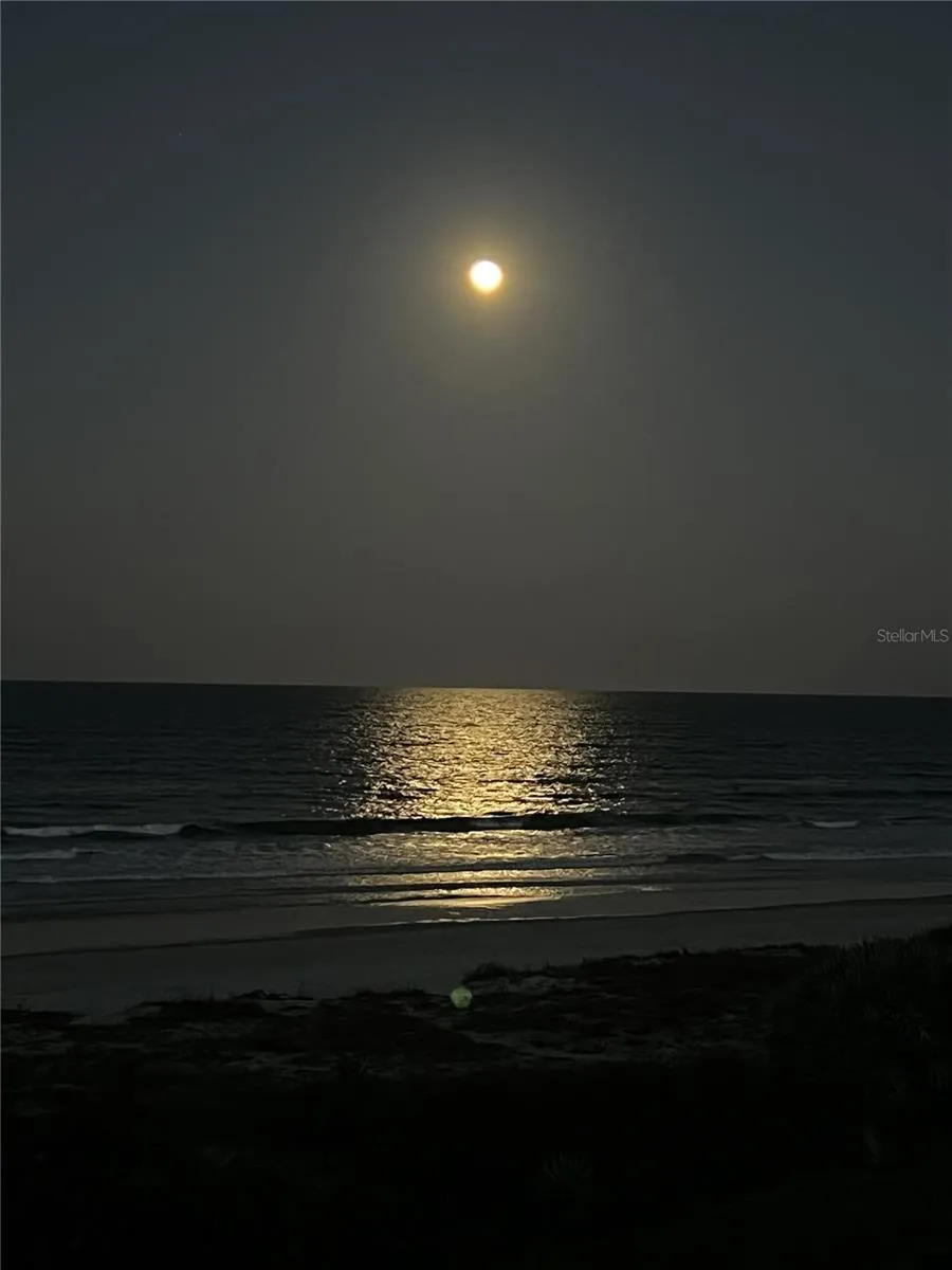 4789 S ATLANTIC AVENUE #3 Ponce Inlet, FL 32127