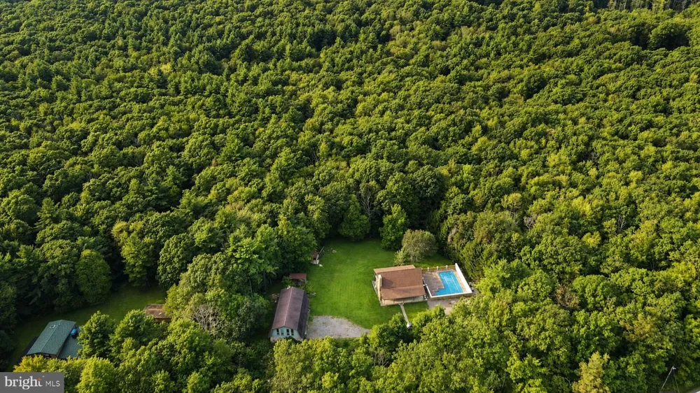 5847 BITTINGER ROAD Swanton, MD 21561