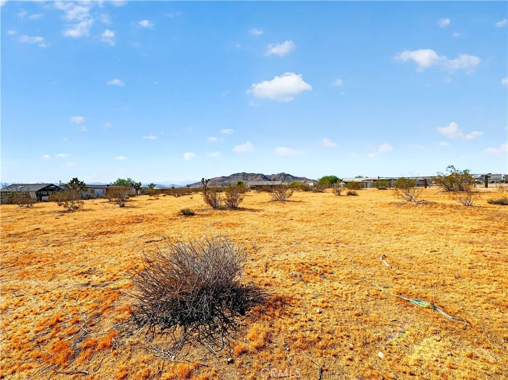 60850 Duvall Drive Joshua Tree, CA 92252