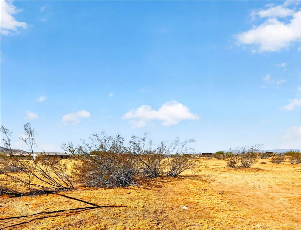 60850 Duvall Drive Joshua Tree, CA 92252