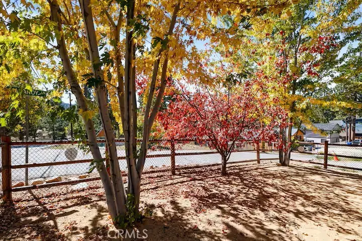 40272 Mahanoy Lane Big Bear Lake, CA 92315