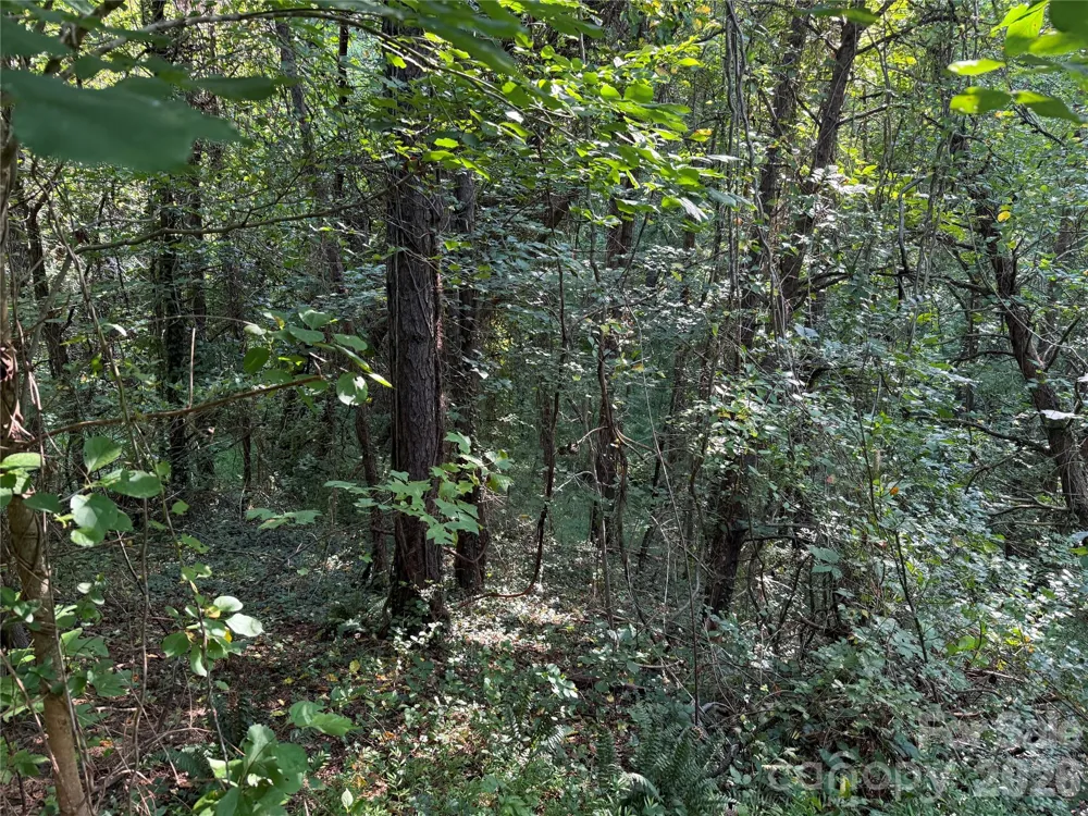 99999 Elk Mountain Ridge #12 Asheville, NC 28804