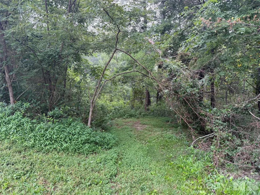 99999 Elk Mountain Ridge #12 Asheville, NC 28804