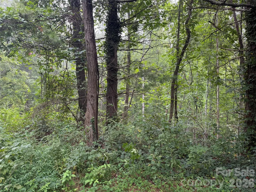 99999 Elk Mountain Ridge #12 Asheville, NC 28804