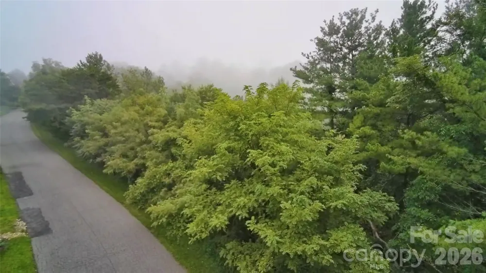 99999 Elk Mountain Ridge #12 Asheville, NC 28804