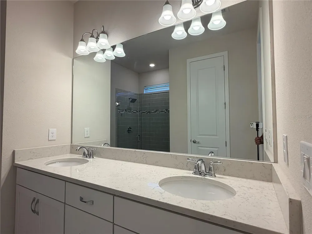 19259 BRIARBROOK DRIVE Tampa, FL 33647