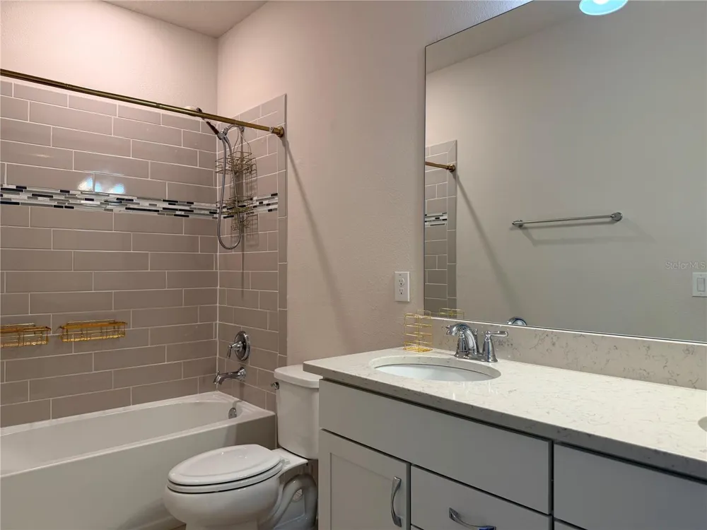 19259 BRIARBROOK DRIVE Tampa, FL 33647