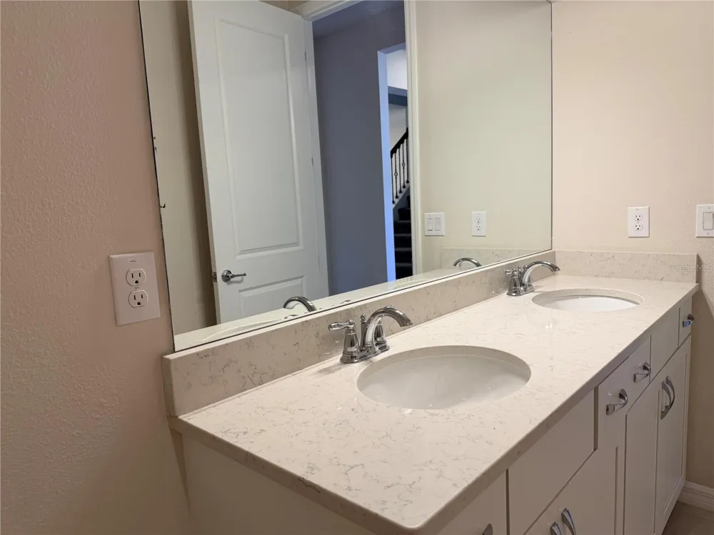19259 BRIARBROOK DRIVE Tampa, FL 33647