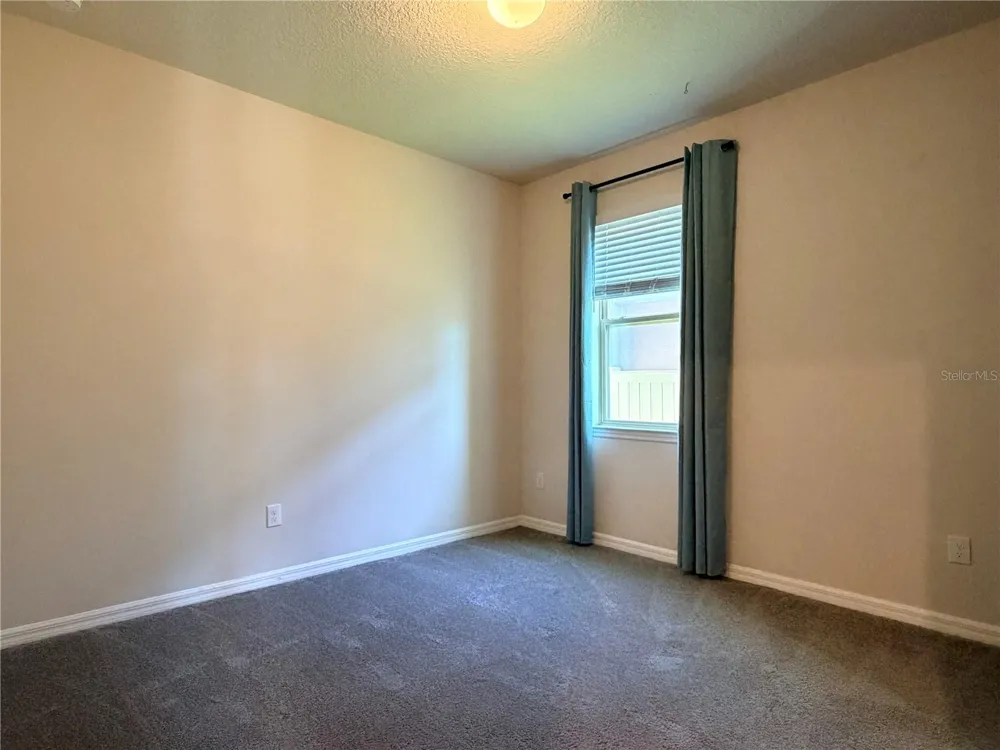 19259 BRIARBROOK DRIVE Tampa, FL 33647
