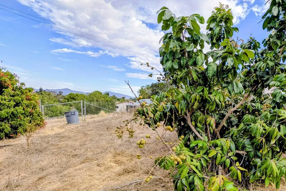 925 Grand Court Escondido, CA 92025