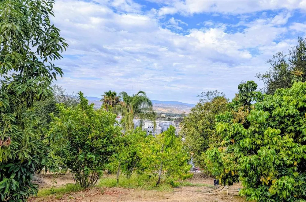 925 Grand Court Escondido, CA 92025