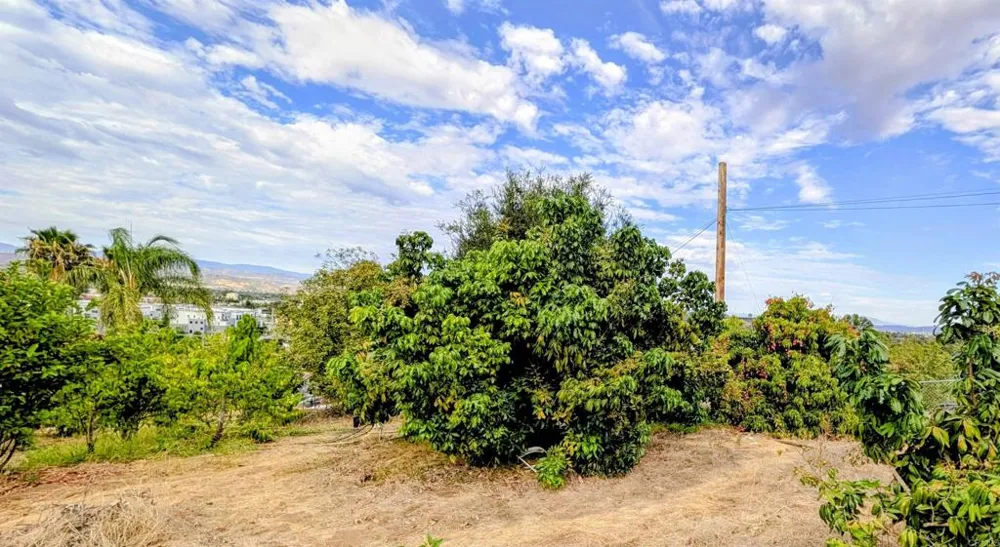 925 Grand Court Escondido, CA 92025