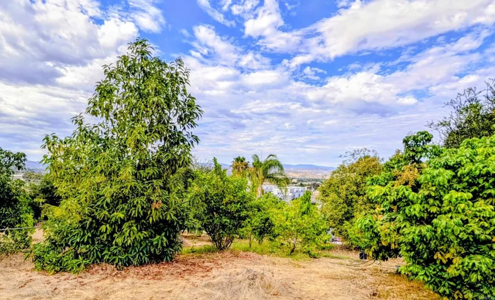 925 Grand Court Escondido, CA 92025