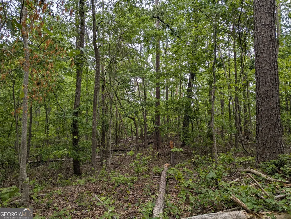 5480 Bethlehem RD Fairburn, GA 30213