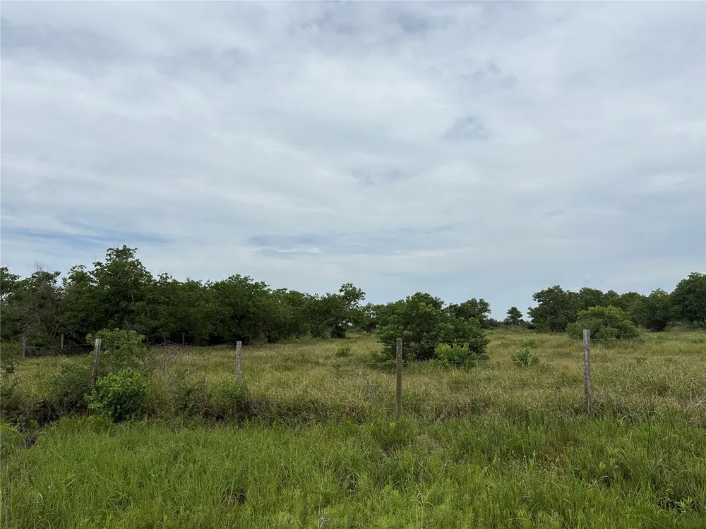 Brumbelow Road Needville, TX 77461