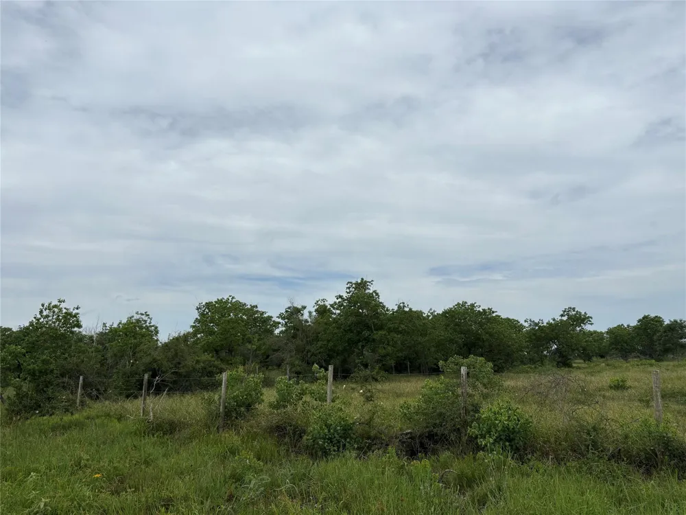 Brumbelow Road Needville, TX 77461