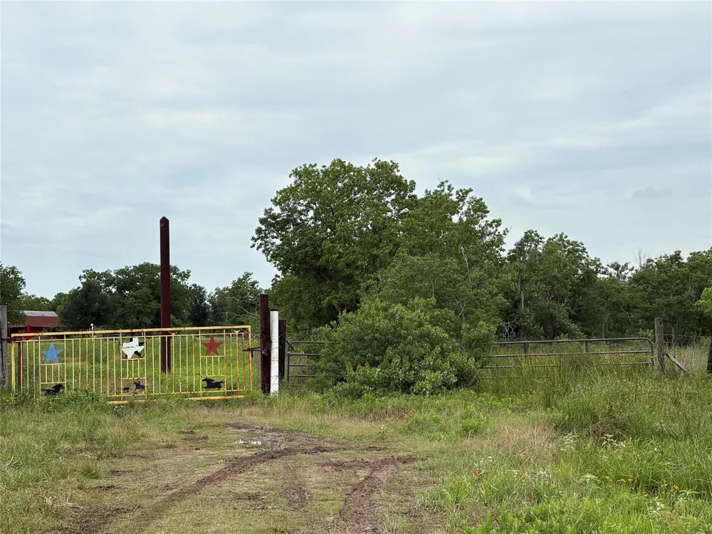 Brumbelow Road Needville, TX 77461