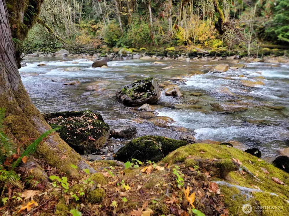 6354 E Cascade Marblemount, WA 98267