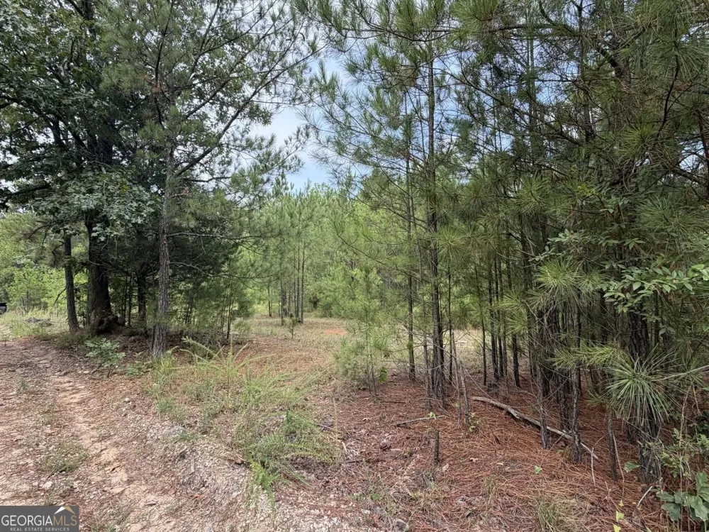 0 Smith Mill RD Monticello, GA 31064